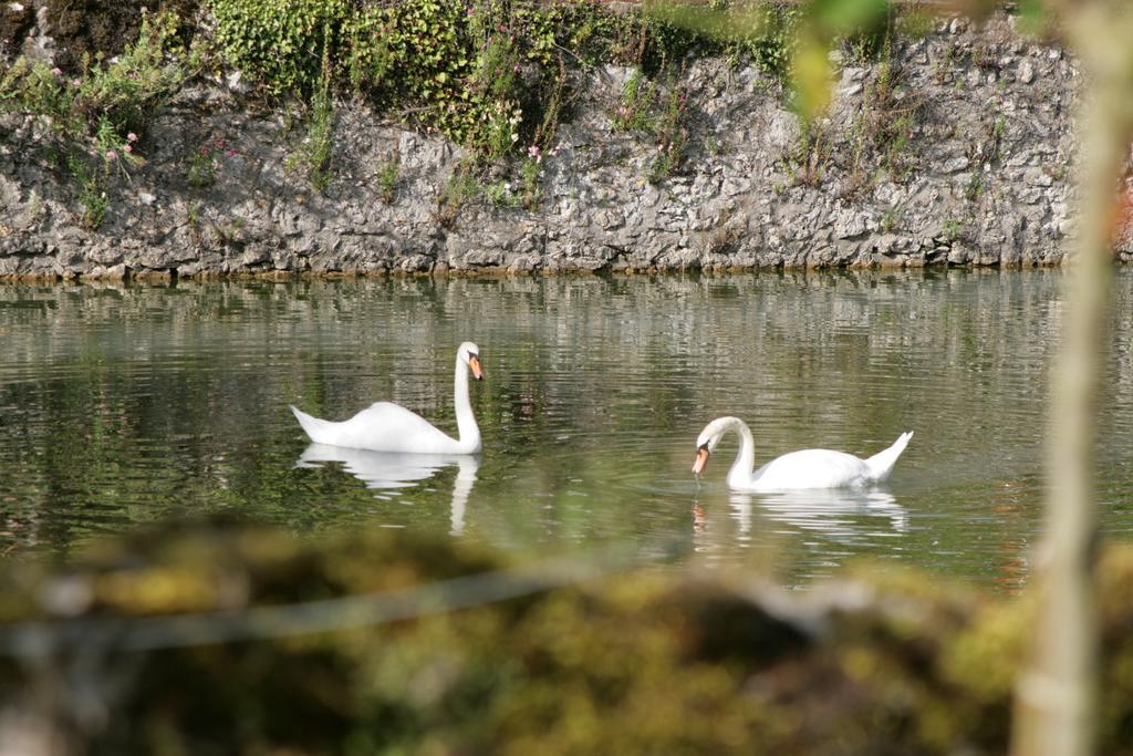 Les Douves Bed and Breakfast Onzain Εξωτερικό φωτογραφία